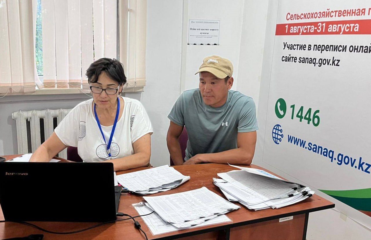 390 тыс. респондентов прошли онлайн-этап переписи