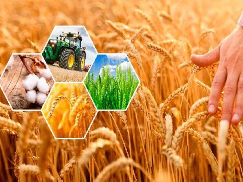 Толық әйелді ұрып-соққан (порно)