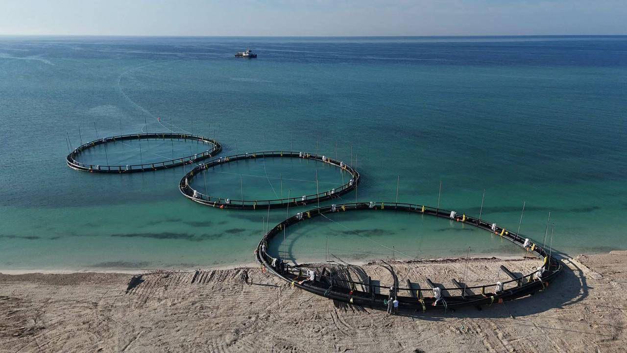 Мангистау усиливает инвестиционный поток и запускает новые производства