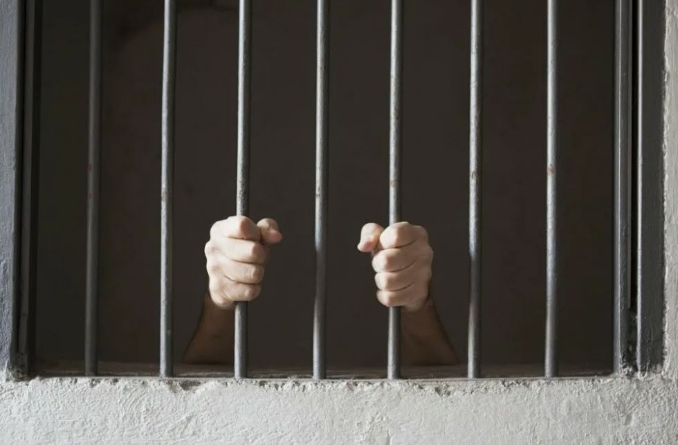 Трансұлттық есірткі желісі құрықталды