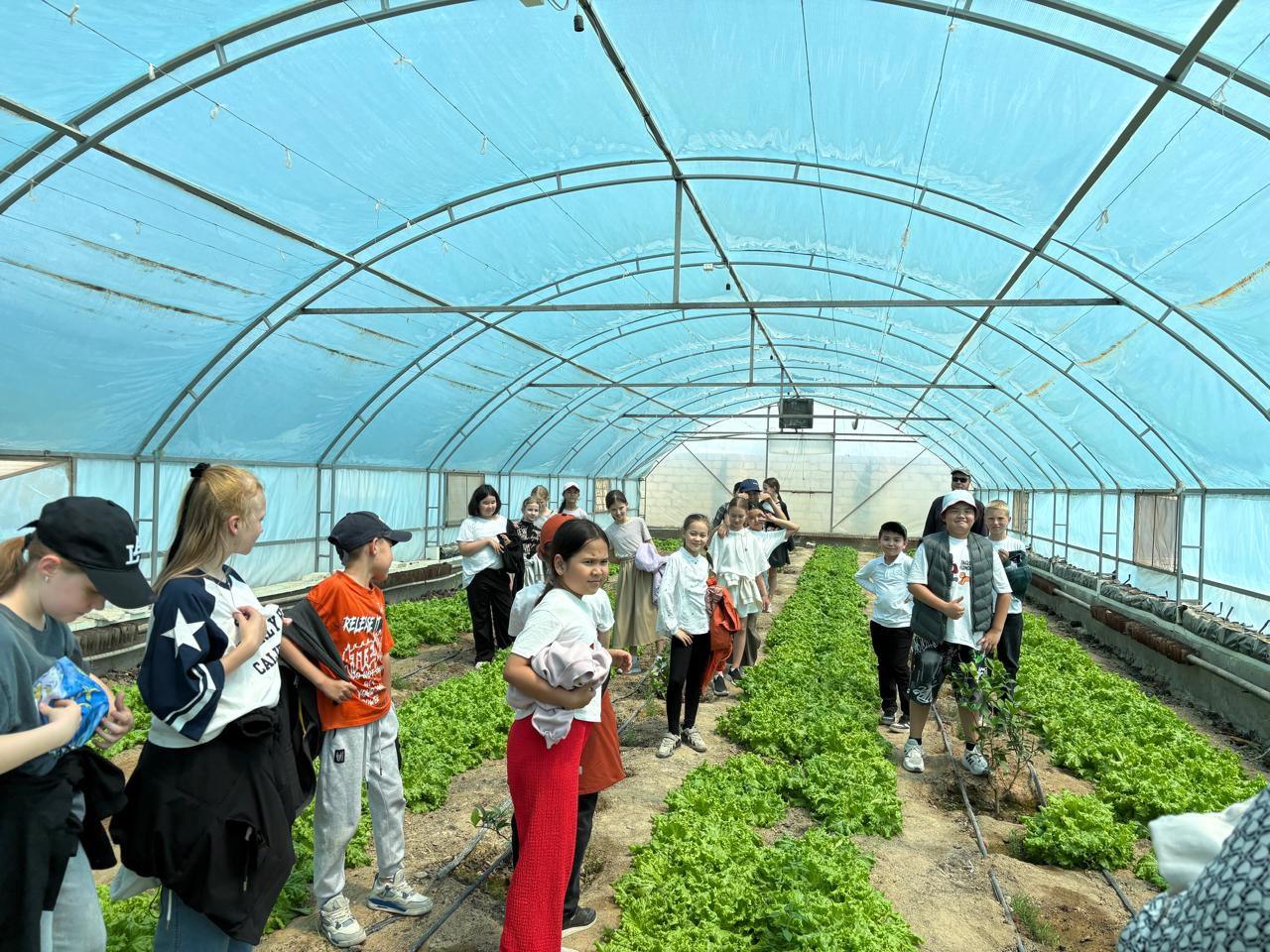 В Мангистау выращивают лимоны и киви