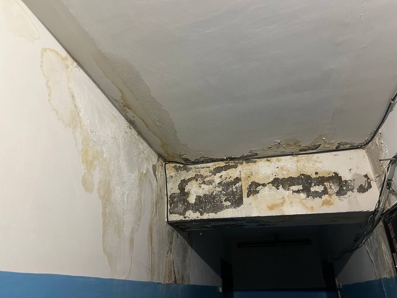 Советы актаусцам: Что делать, если квартиру или подъезд затопило после дождя?