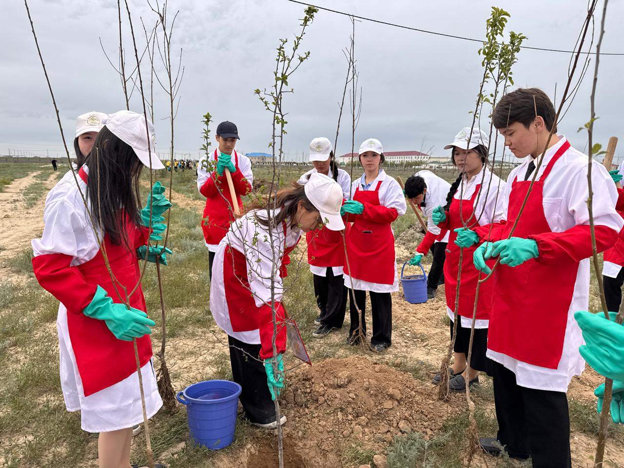 В Мунайлы выпускники школ запустили челлендж по посадке деревьев