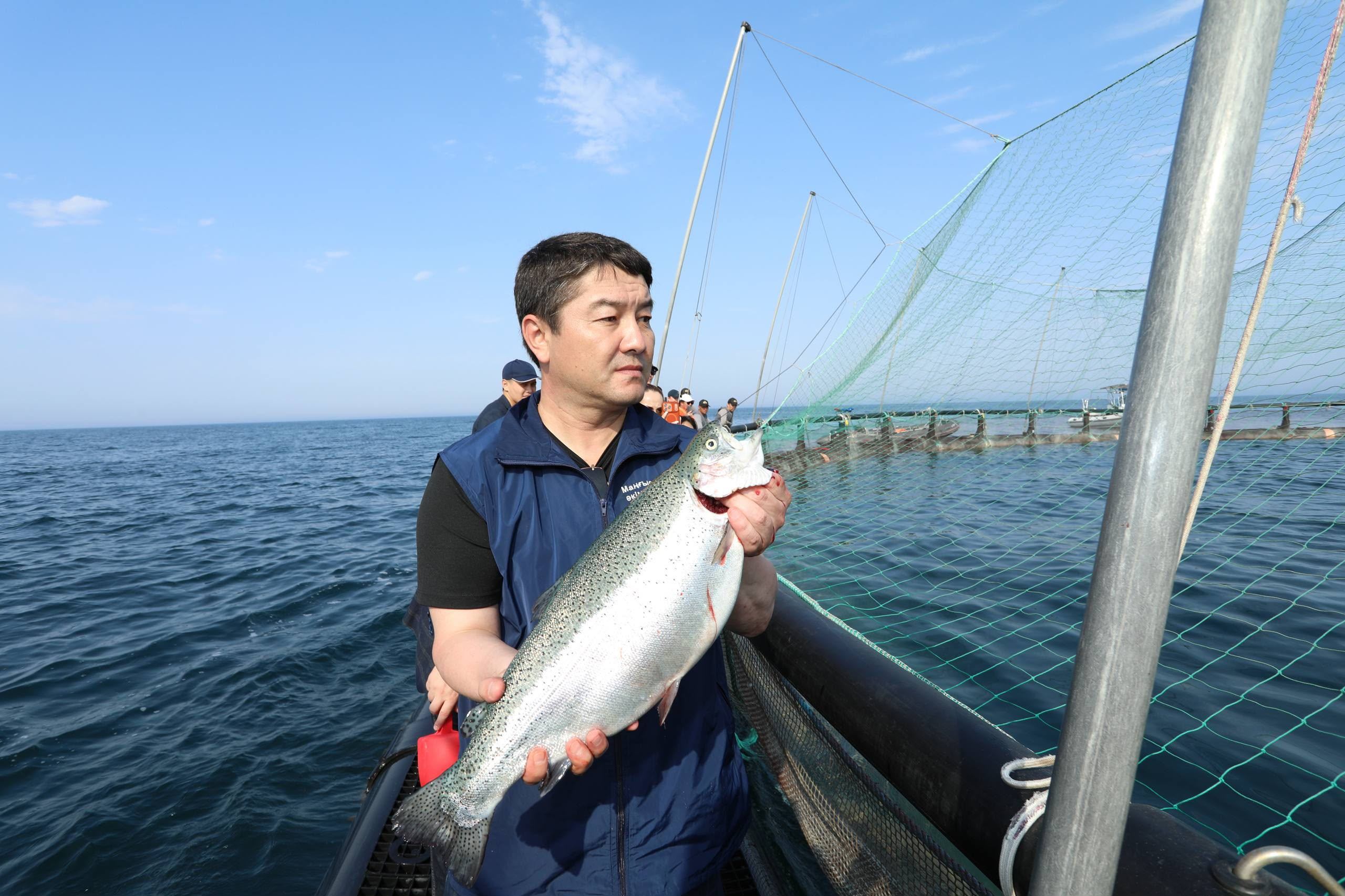 «Organic Fish»: рыба, выращенная в Каспии, поступит в продажу в сентябре
