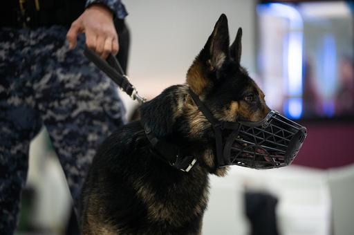 Здания проверены, опасности нет: отдел образования города Актау выступил с сообщением