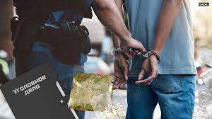 Свыше 33 килограммов наркотиков изъяли полицейские Мангистау в регионе