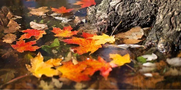 Какой будет погода в ноябре в Актау, рассказали синоптики