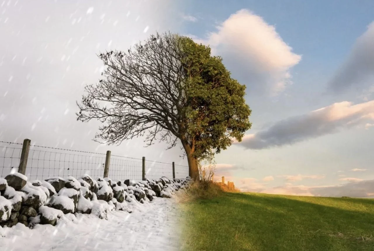 Барар жеріне жете алмай далада үсіп өлген "Бесқонақ" туралы не білеміз?
