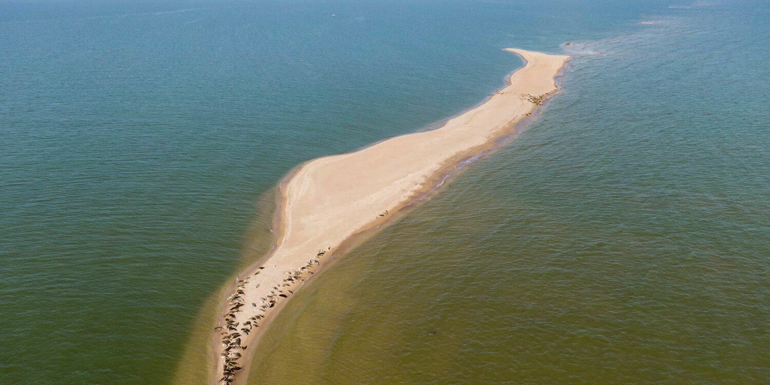 Каспийдің тартылуы салдарынан су ортасында арал пайда болды - ғалымдар