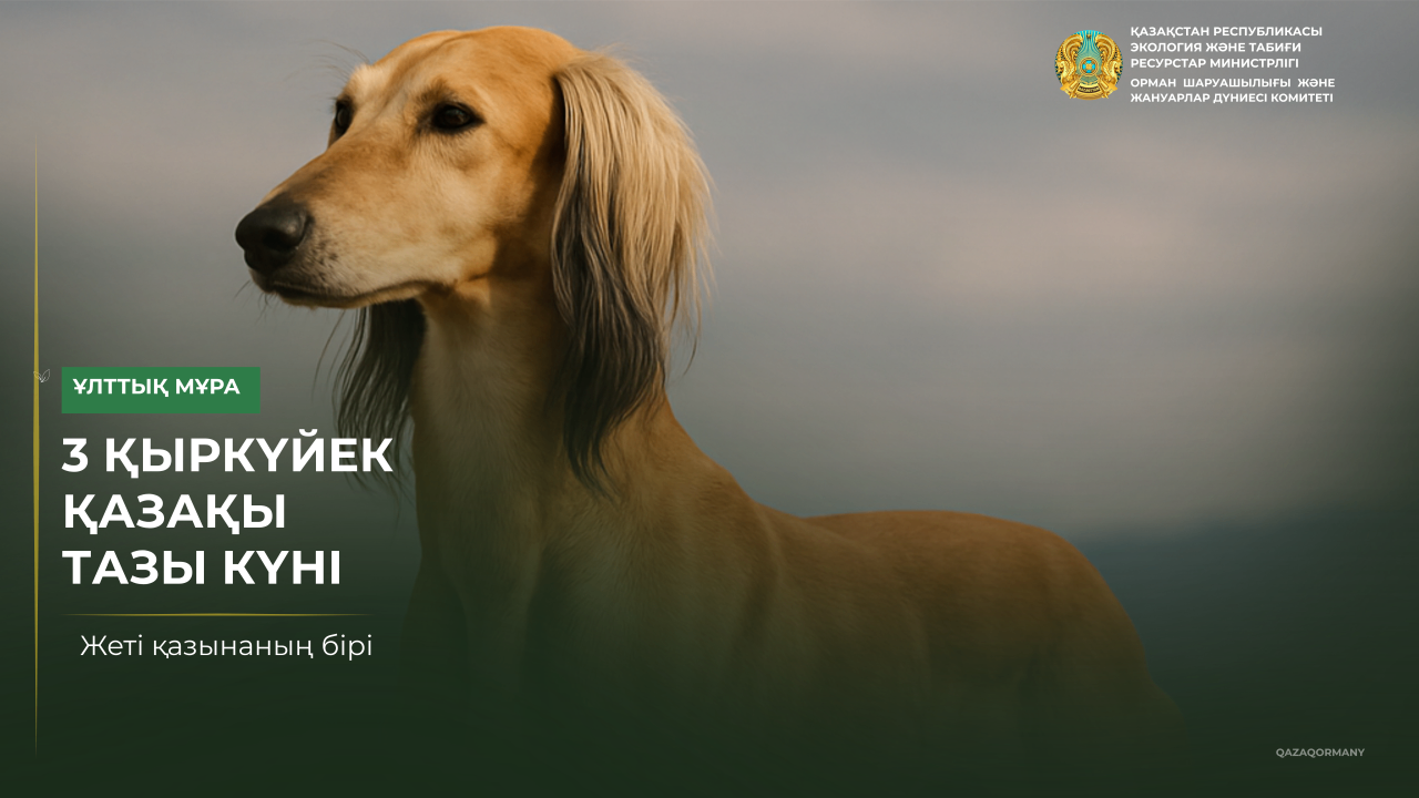 3 қыркүйек – қазақ тазысы күні