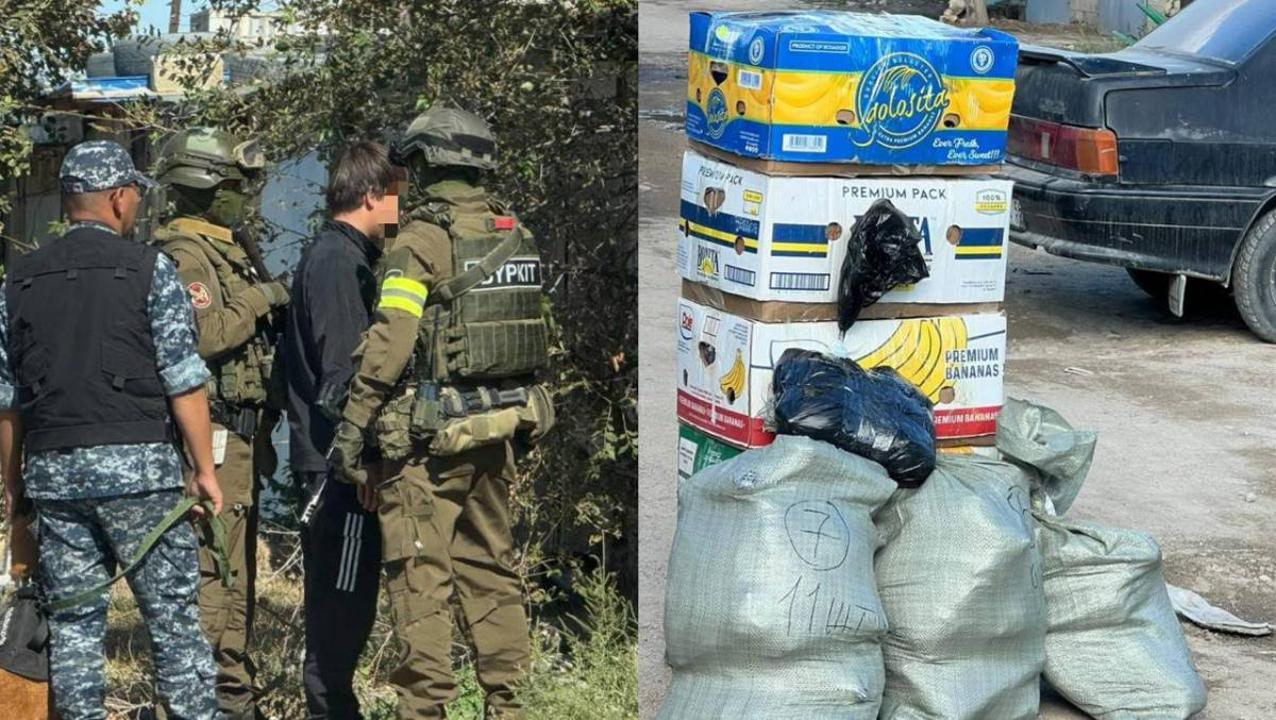 62 кг марихуаны, оружие и более 32 млн тенге. В Мунайлы задержана группа лиц