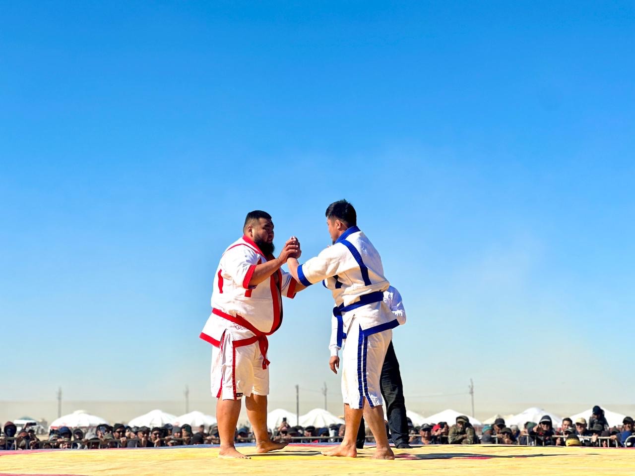 Компьютерлік ойындарға негізделген порно суреттер