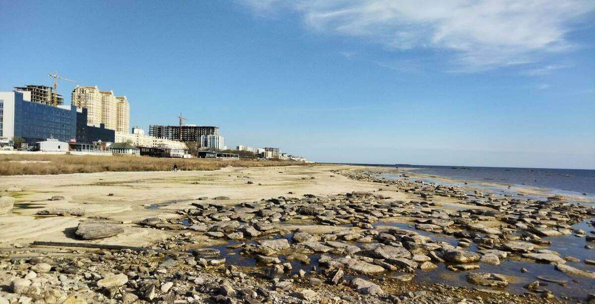 В Минэкологии прокомментировали состояние Каспия