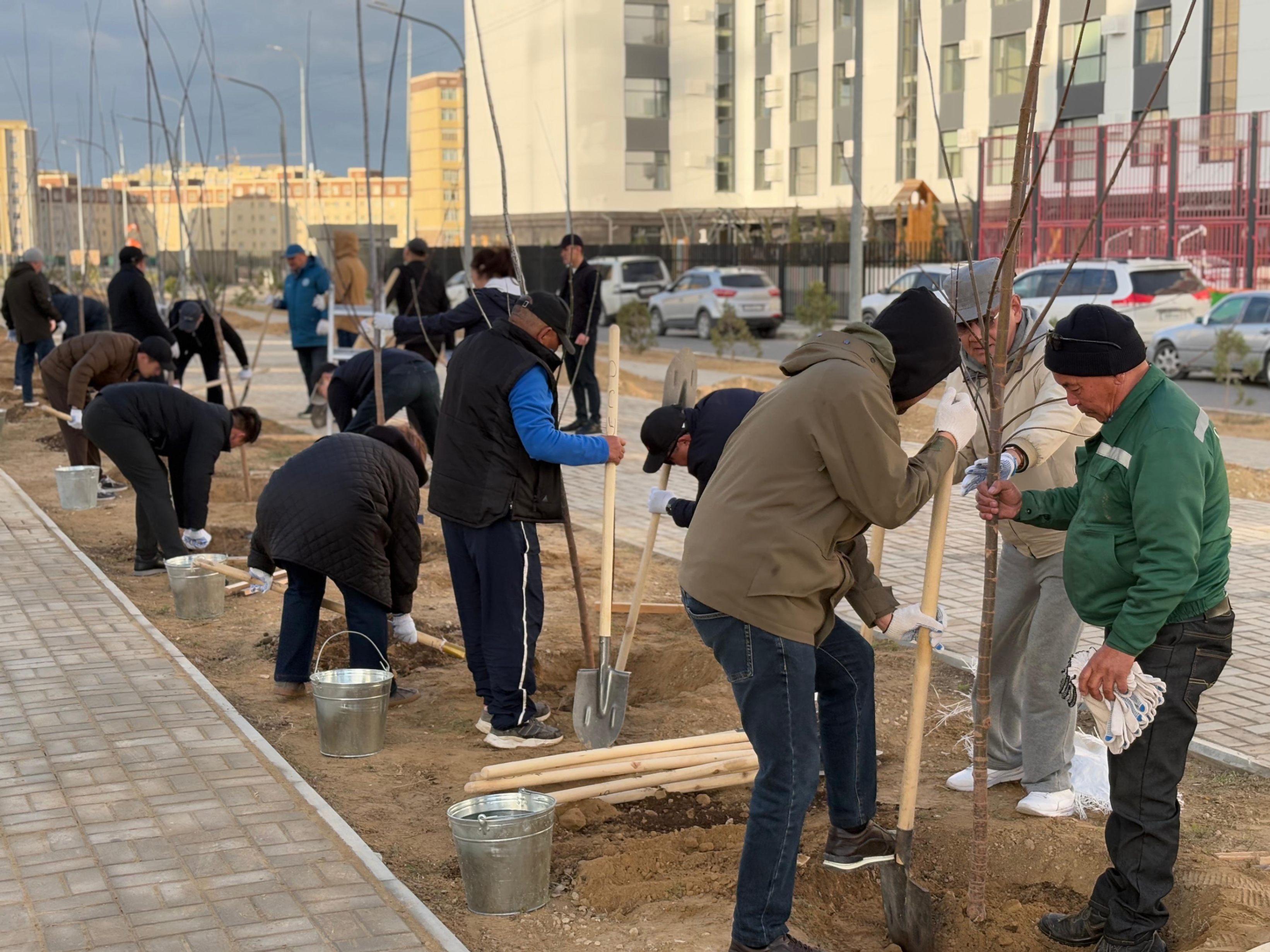 Осенью в Актау планируют высадить более 2 тысяч взрослых деревьев