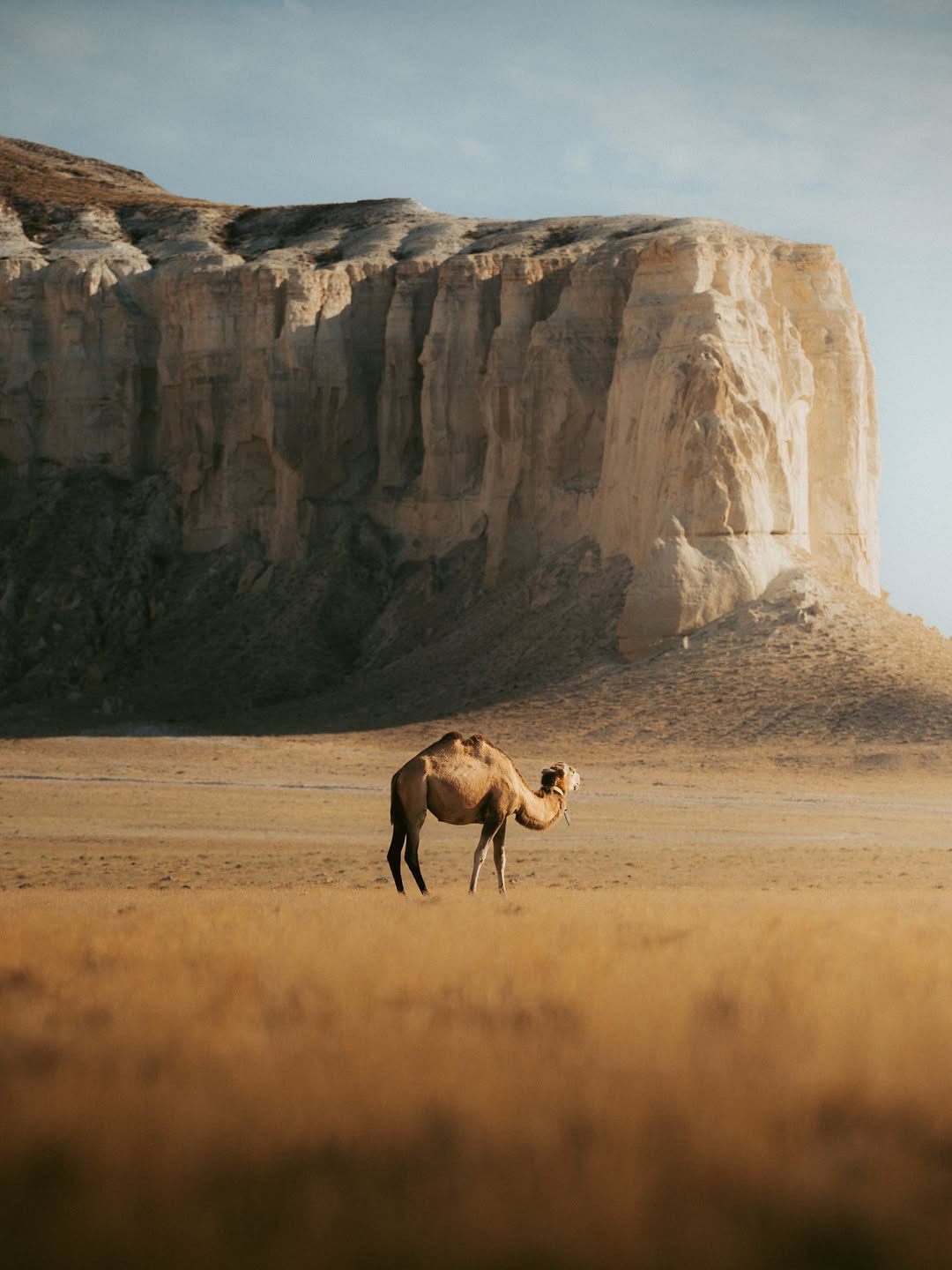 Иностранный фотограф: Мангистауская область — недооценённое природное чудо