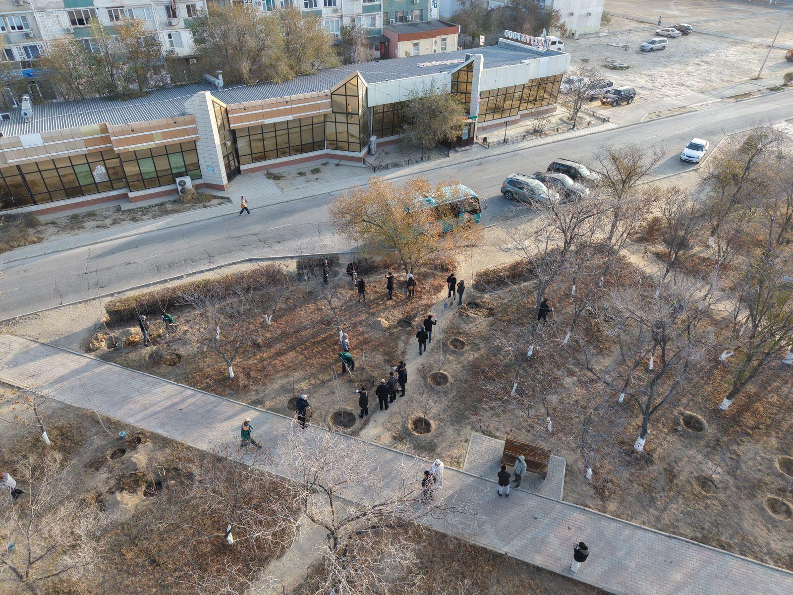 «Таза Қазақстан»: в Актау депутаты высадили 30 деревьев