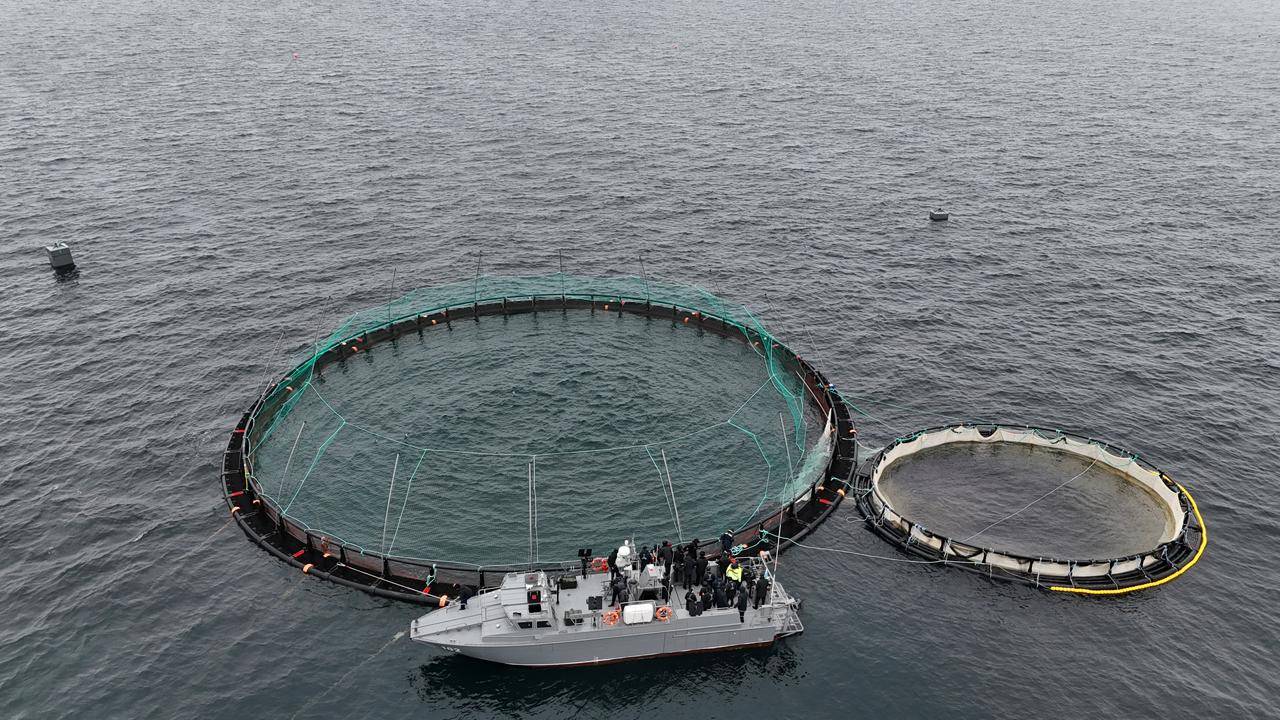 В Мангистау запущен первый в Центральной Азии морской проект аквакультуры