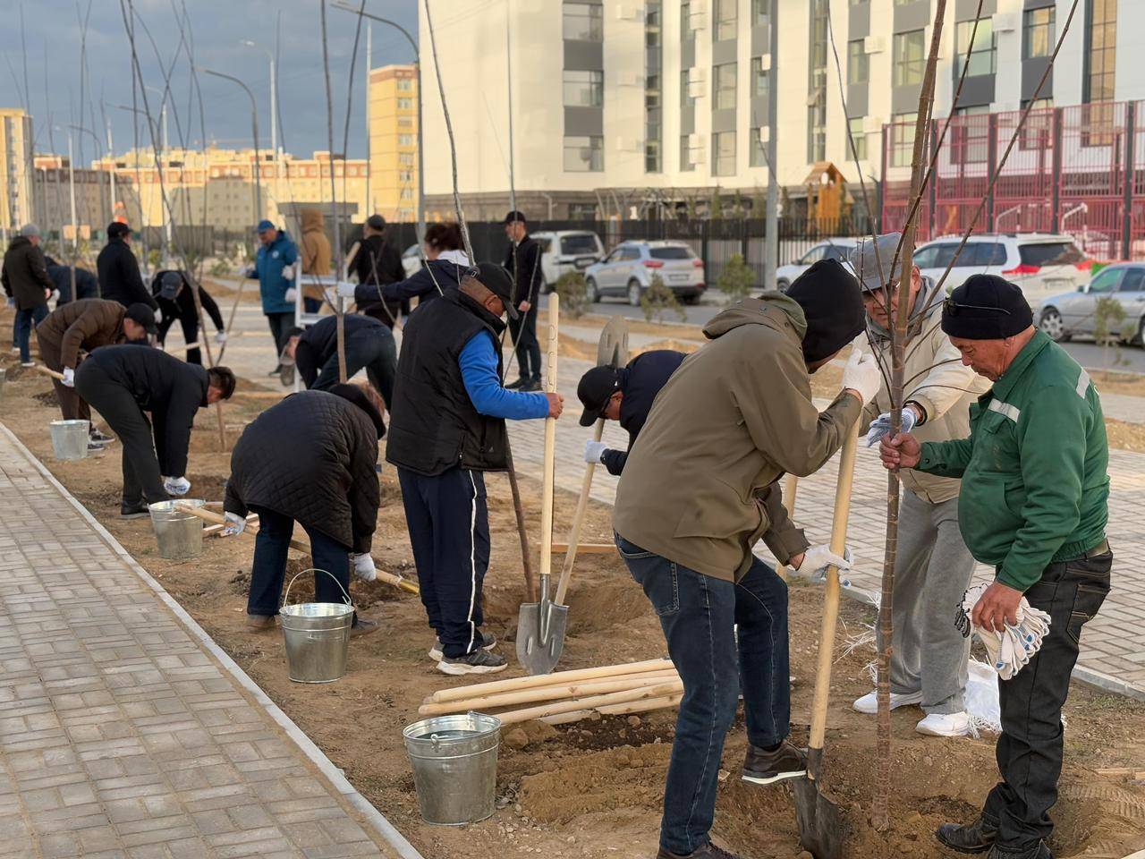 Ақтауда күзгі ағаш егу маусымында 2 мыңнан астам ағаш отырғызылады