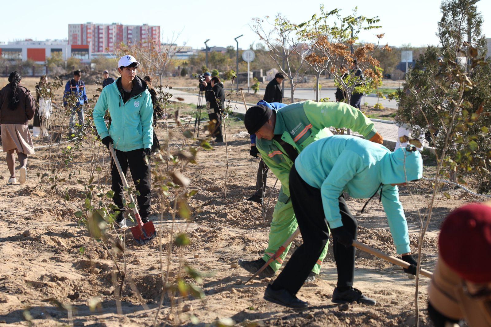 Ақтауда тұрғындар Yessenov University саябағына 100 түп ағаш отырғызды