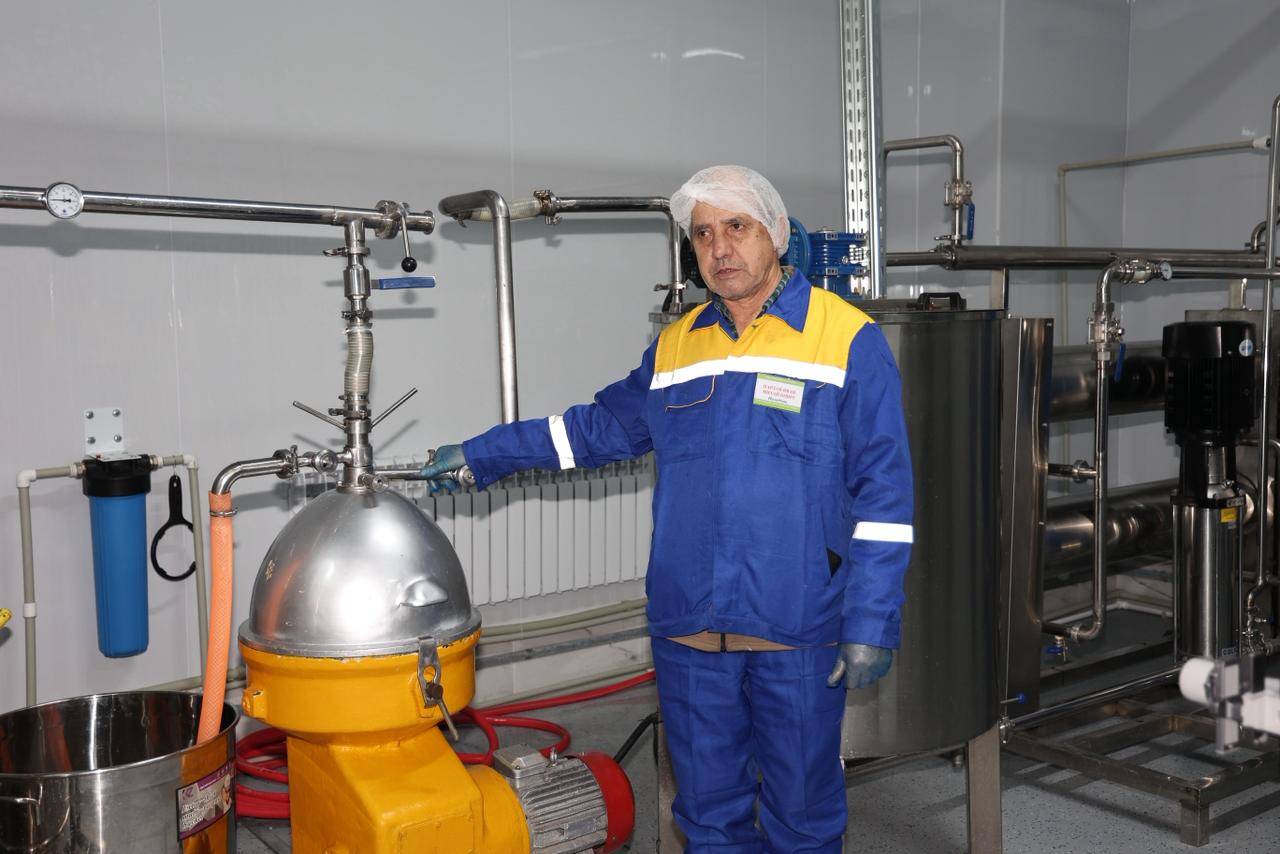 Жаңаөзенде түйенің құрғақ сүтін өндіретін цех ашылды