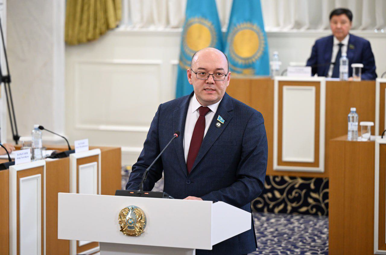 Новая Конституция расширяет возможности граждан для участия в политической жизни страны – глава ОСДП