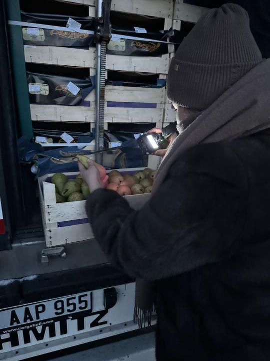 Маңғыстауға Бельгиядан жеткізілген 19 тонна алмұрт кері қайтарылды