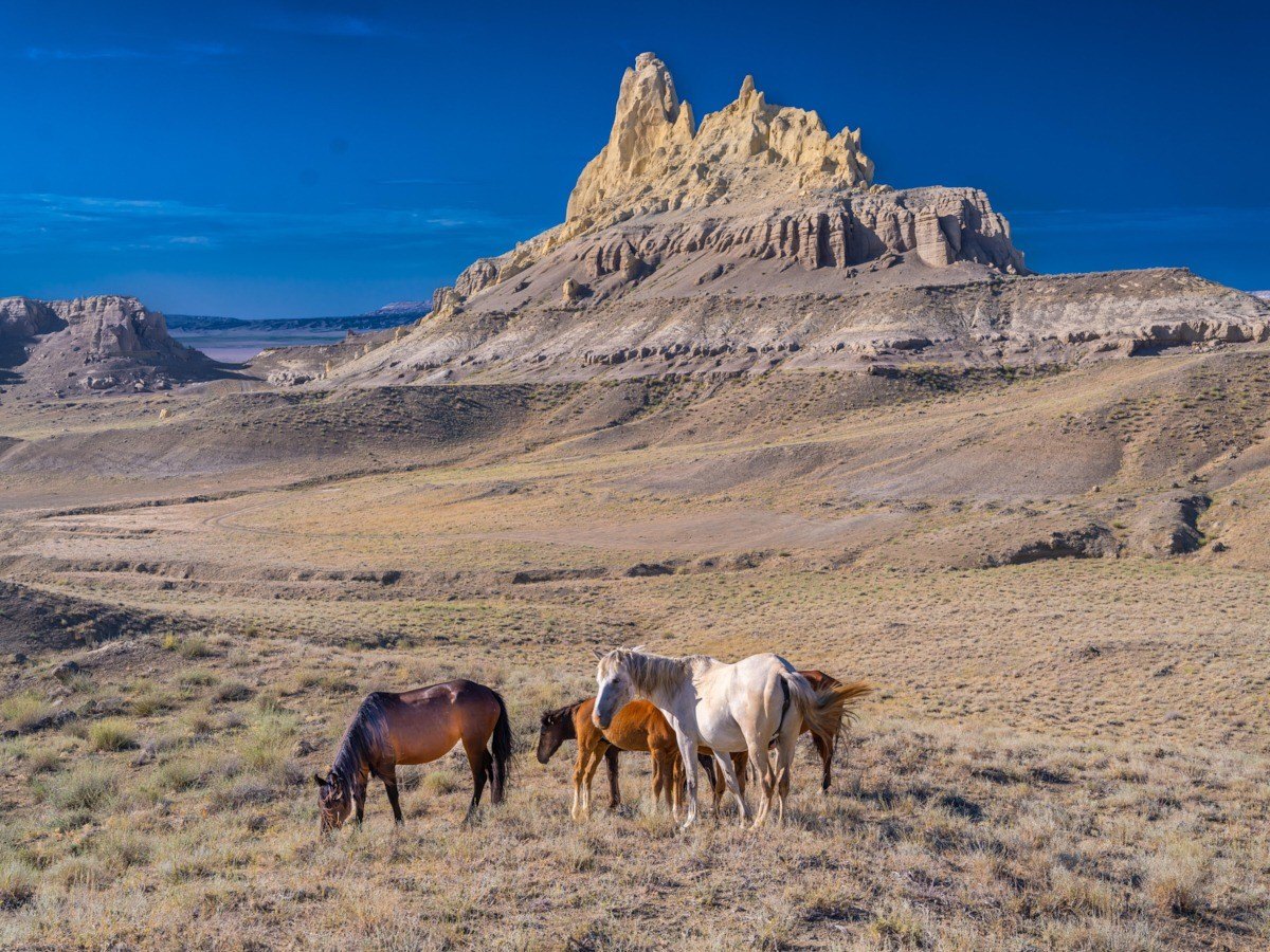 Мусорные контейнеры установили в туристических местах Мангистау