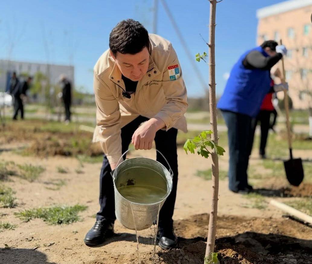 Аким и жители Актау высадили более 100 деревьев