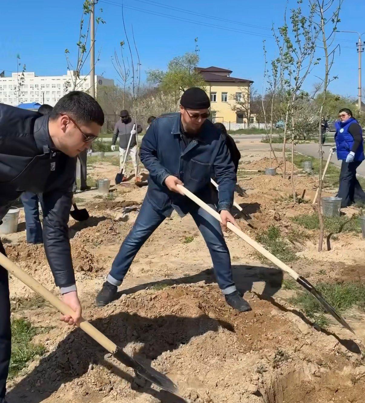 «Таза Қазақстан»: Ақтауда қала әкімі мен тұрғындар 100-ден астам ағаш отырғызды