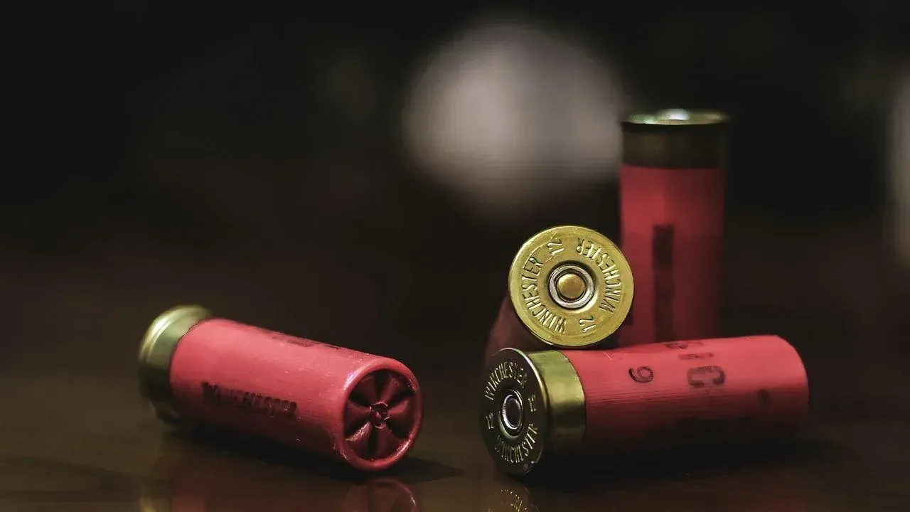 Мұнайлы тұрғынына заңсыз оқ-дәрі сақтағаны үшін айыппұл салынды