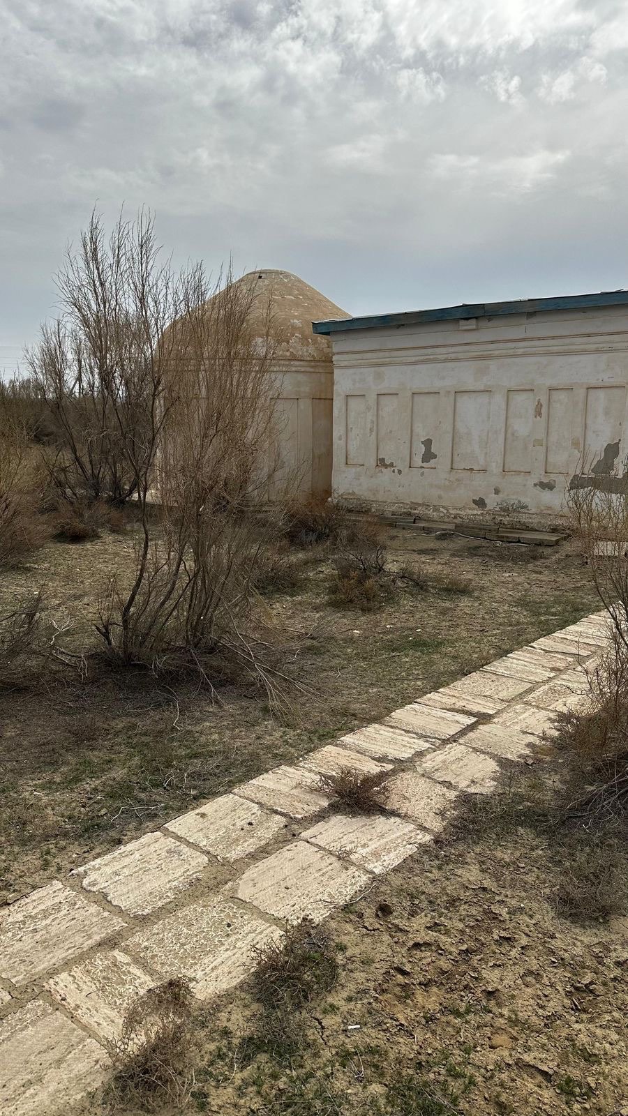 Маңғыстауда құм тоқтату жұмыстары қарқынды жүргізілуде