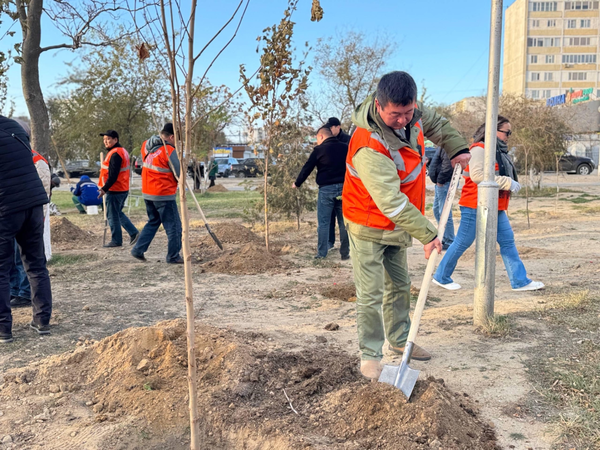 «Таза Қазақстан»: Ақтауда 100 түп ағаш отырғызылды